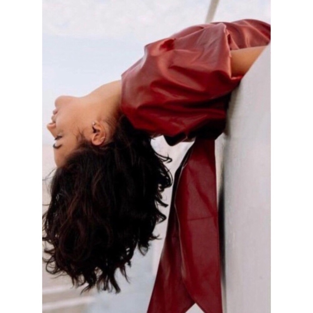 NWT ANTHROPOLOGIE GREER FAUX LEATHER MINI DRESS - Picture 4 of 13